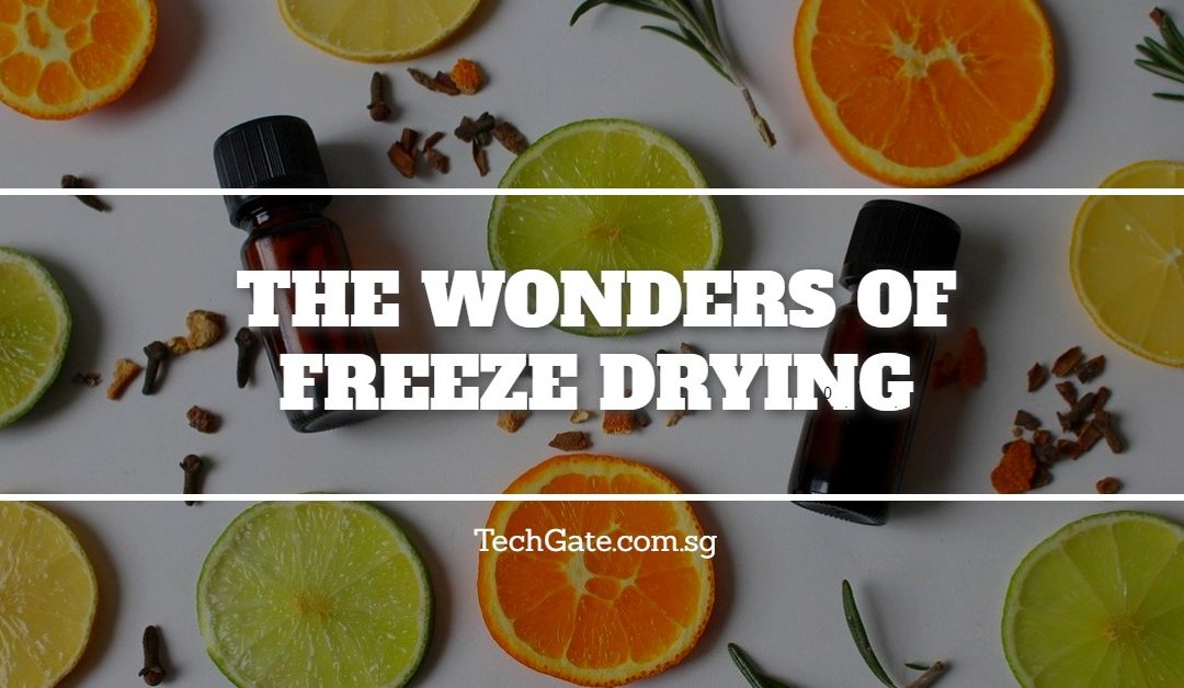 Applications of Freeze Drying