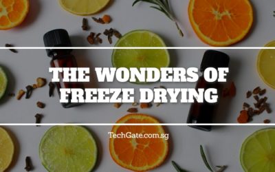 Freeze Drying: Wonders of Vacuum Pump Applications